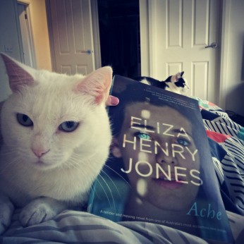 Ziggy Cat with Ache by Eliza Henry Jones