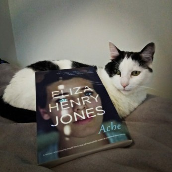 Zeus Cat with Ache by Eliza Henry Jones